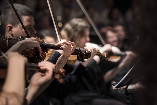 violons en concert